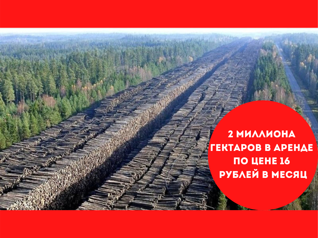 3 миллиона гектара. 1000000 Гектар. 2 Миллиона гектаров. Гектар в Сибири. Миллионы гектаров иллюстрация.